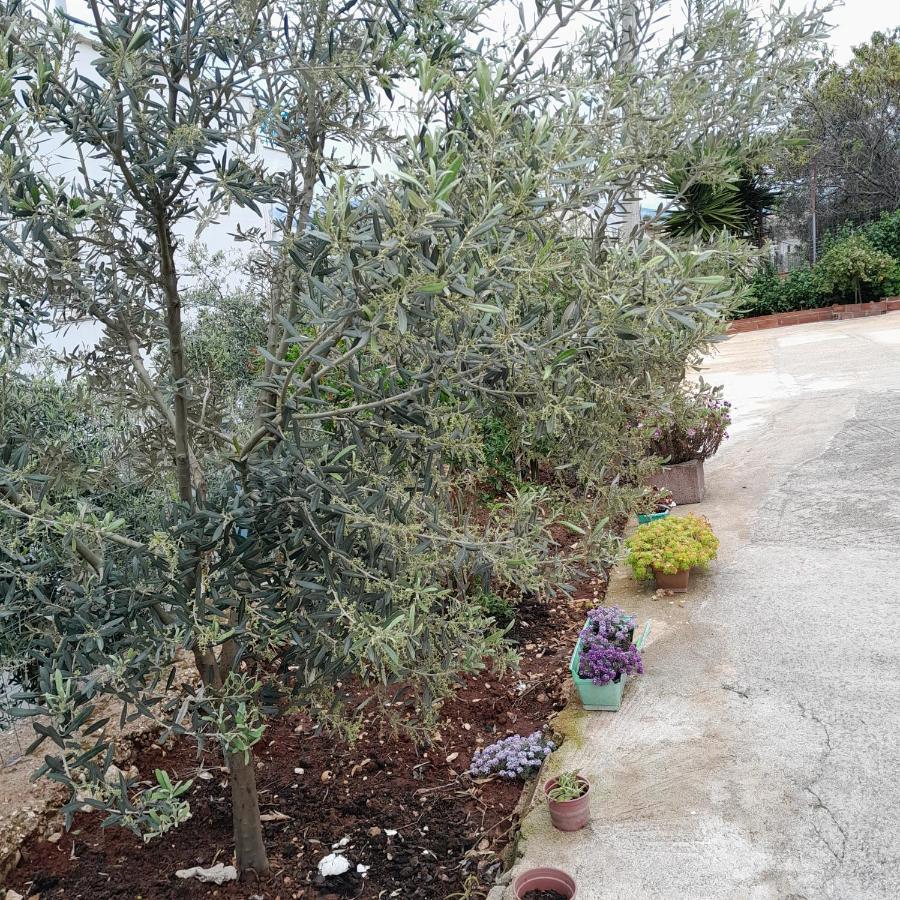 Denni'S Home Sarande Exterior photo
