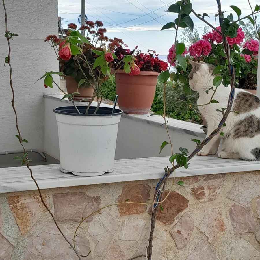 Denni'S Home Sarande Exterior photo