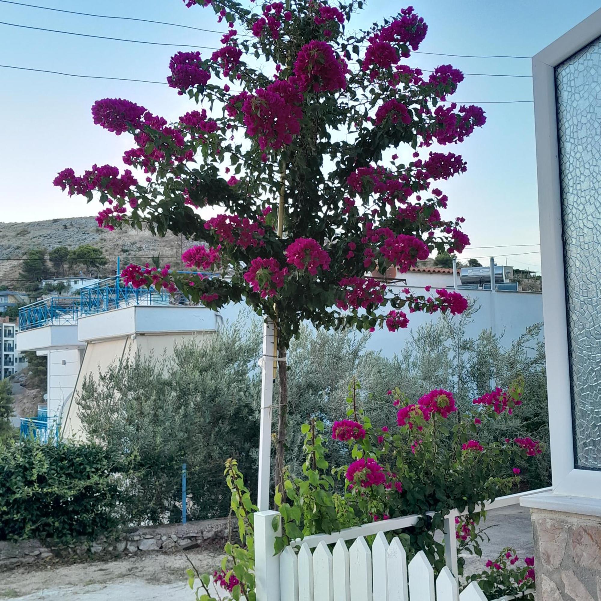 Denni'S Home Sarande Exterior photo