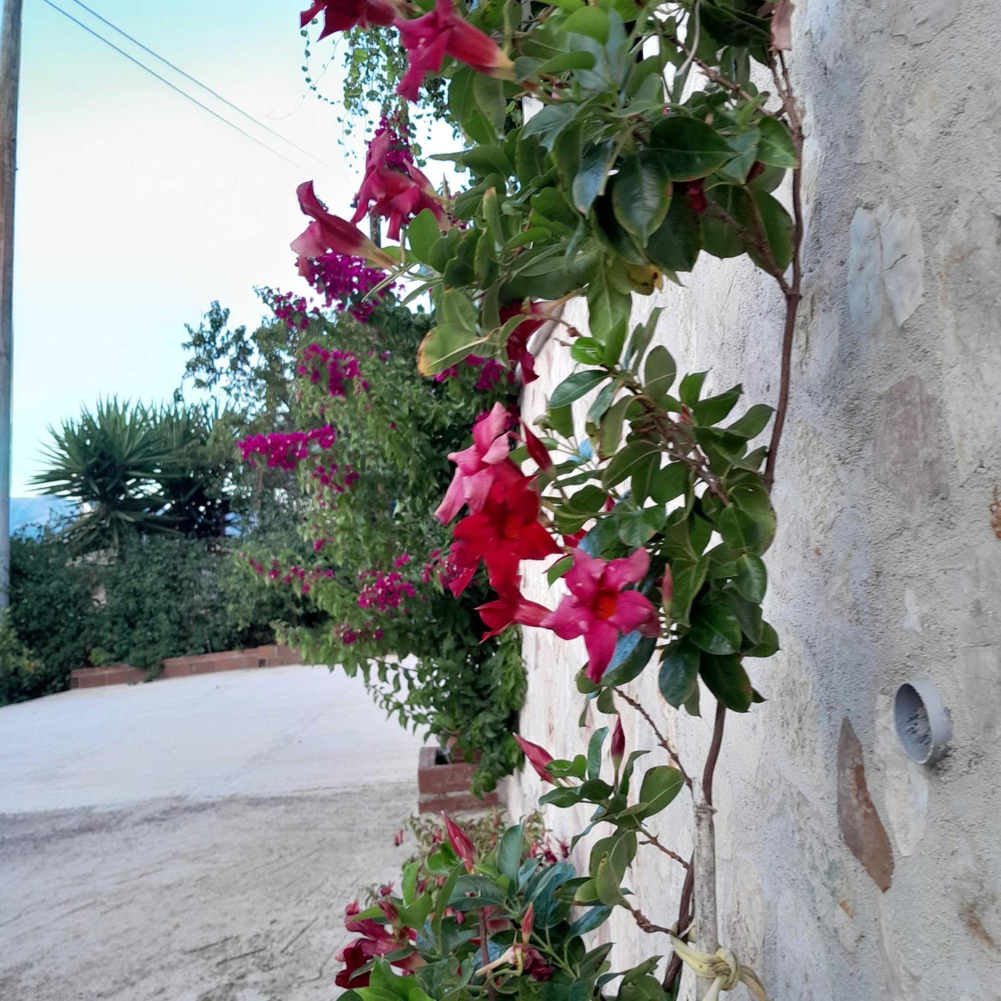 Denni'S Home Sarande Exterior photo