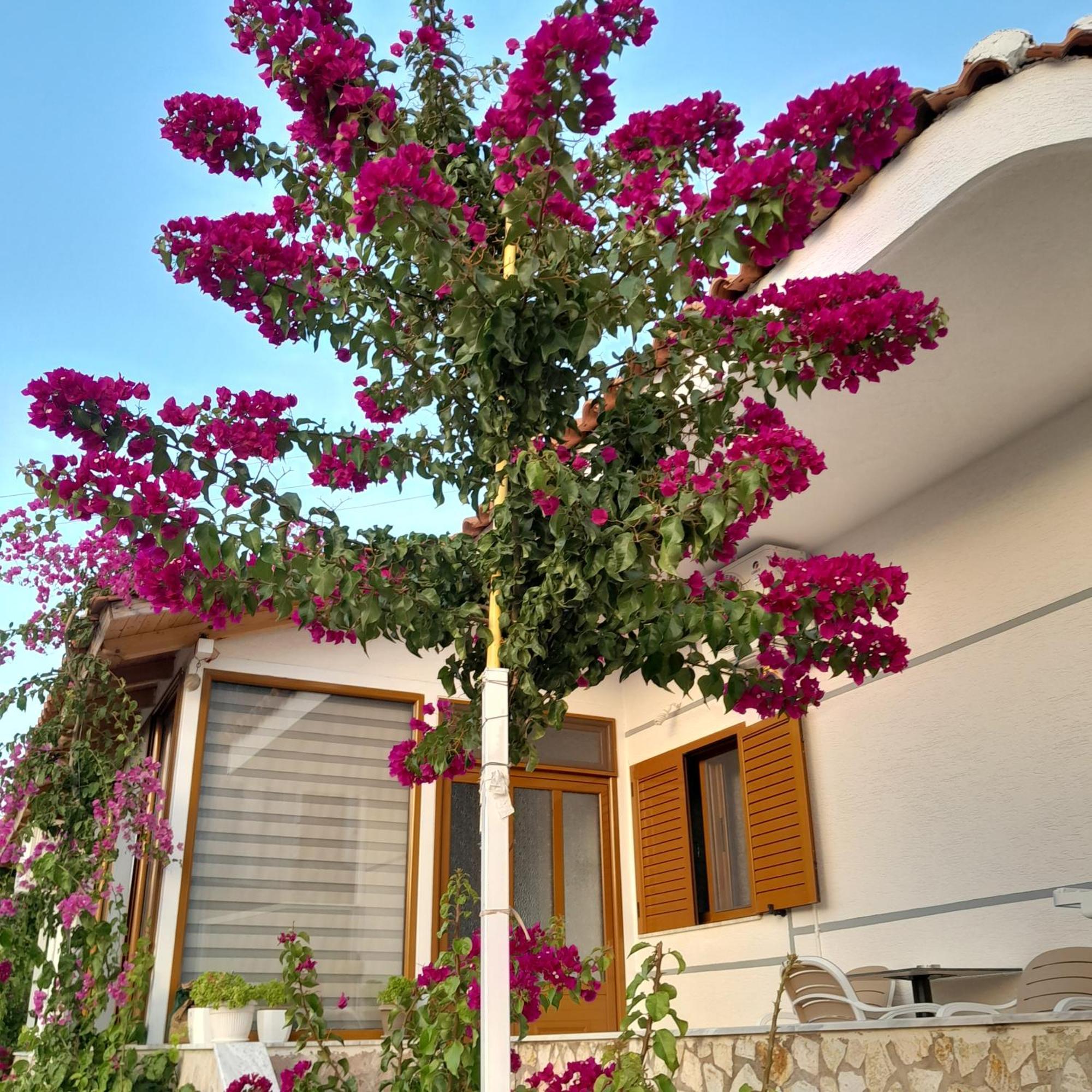 Denni'S Home Sarande Exterior photo